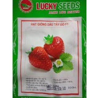 HẠT GIỐNG DÂU TÂY LUCKY GÓI 100 HẠT