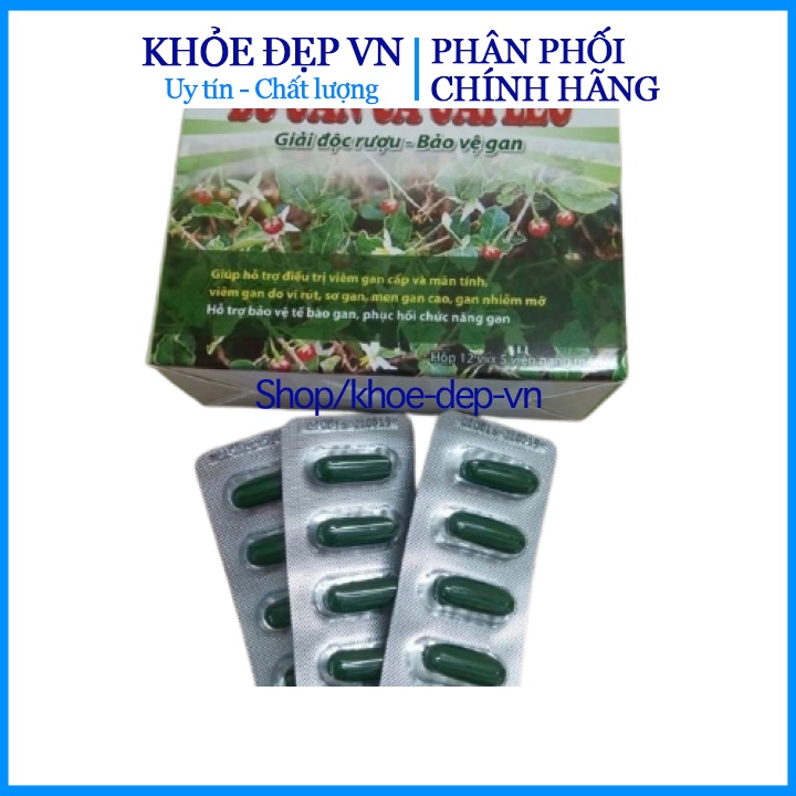 Chuẩn BYT - BỔ GAN CÀ GAI LEO,GIÚP MÁT GAN,LỢI MẬT (60 viên)