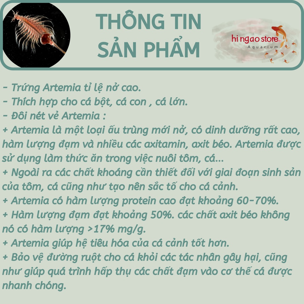 Trứng Artemia Mỹ Hàng Xịn -Thức ăn cá betta bột, cá bột | Hingaostore.