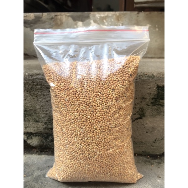 1kg HẠT KÊ VÀNG cho các dòng chim vẹt yến phụng, lovebird, manh manh, sắc nhật, chuột hamster...