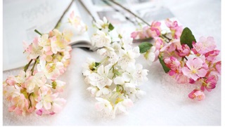 Cành hoa anh đào Nhật Bản giả