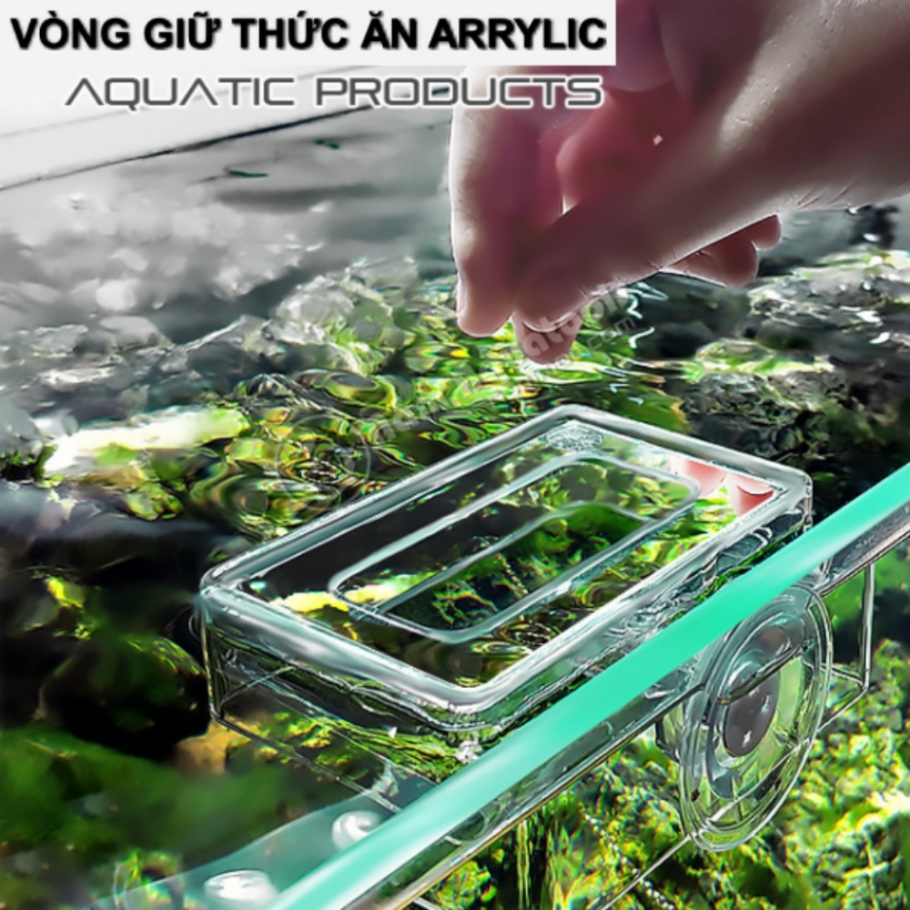 Vòng Giữ Thức Ăn Acrylic | Giữ - Cố Định Các Loại Thức Ăn Nổi Trong Bể Cá Cảnh, Bể Thuỷ Sinh