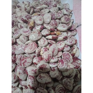 500g Hạt đậu ngự thuần chủng nhà trồng