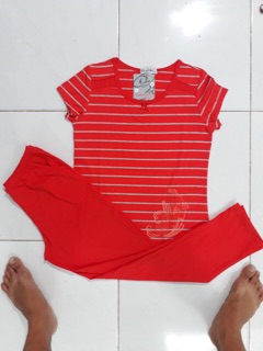 Combo bộ cotton