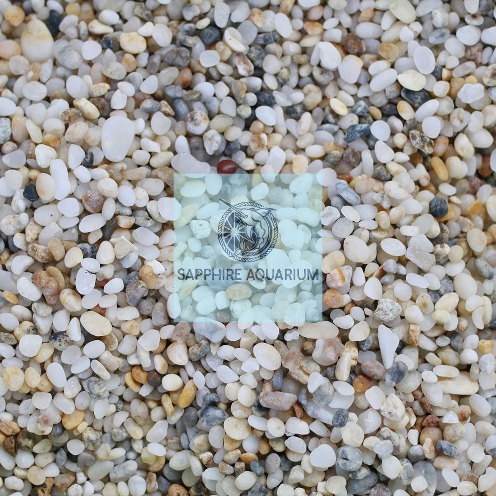 Sỏi 3 Màu Trang Trí Bể Cá