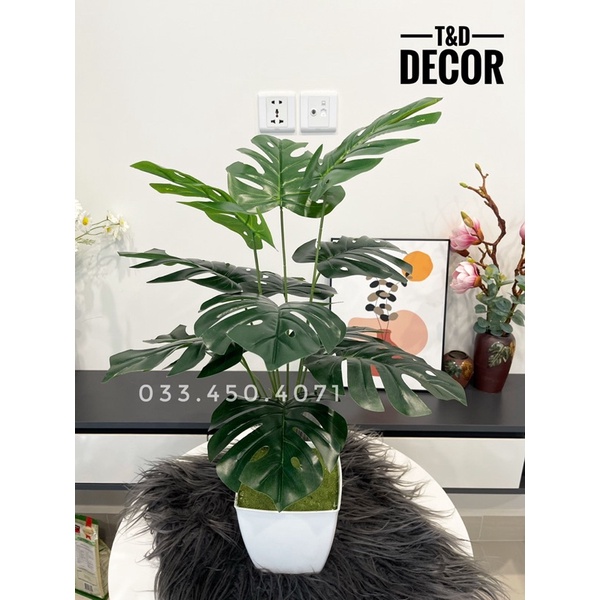 Cây giả - cây lá rùa decor 50cm