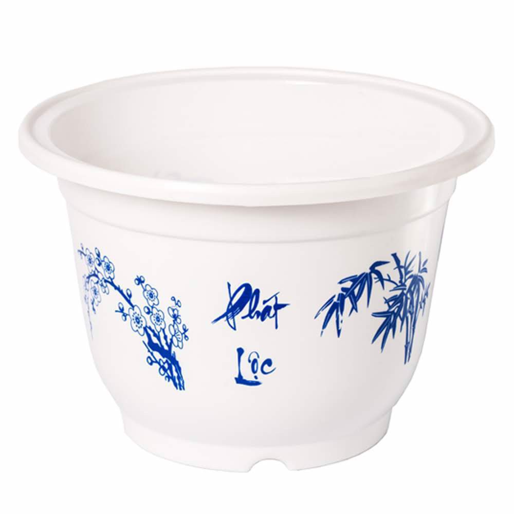 Chậu nhựa in bông cát tường