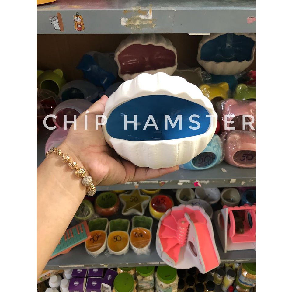 Nhà sứ sò Hamster [lớn,nhỏ]