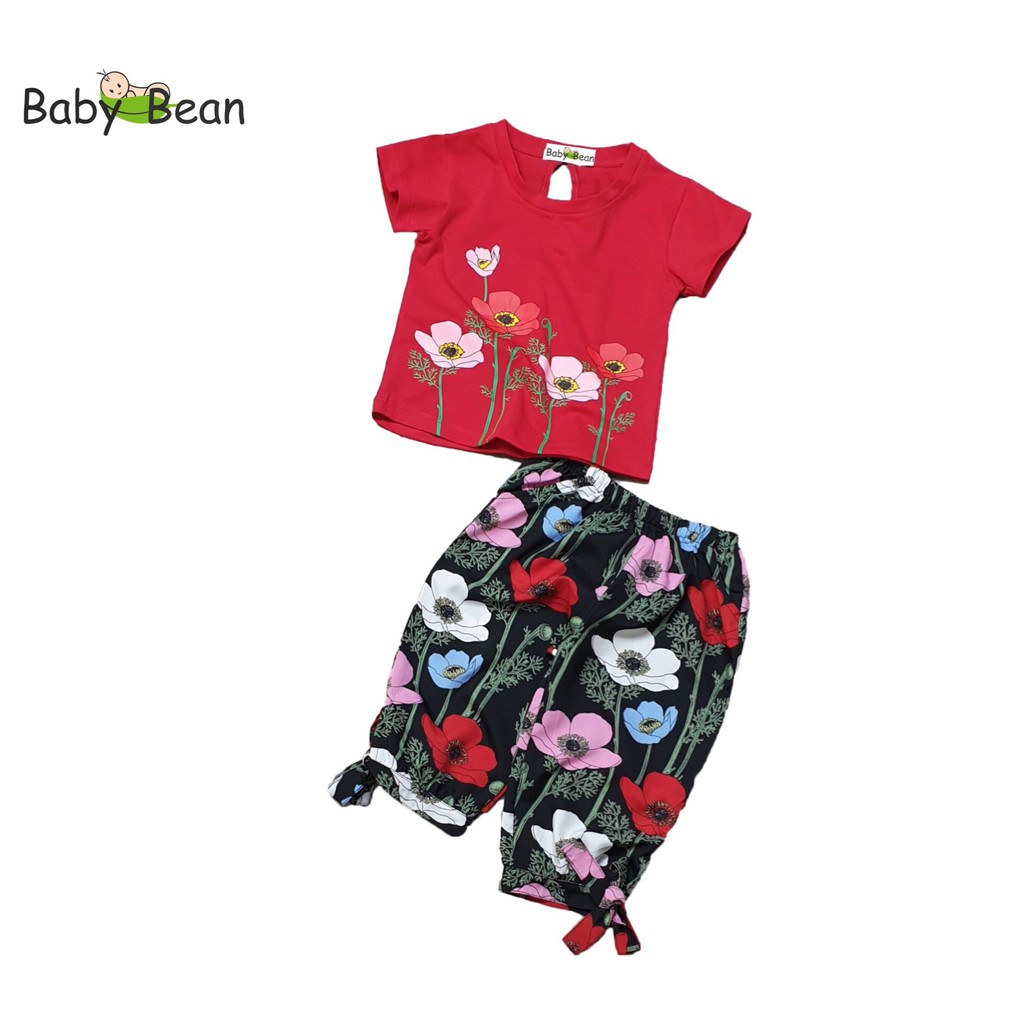 Bộ Đồ Áo Thun Cotton Quần Lửng Hoa Bé Gái BabyBean