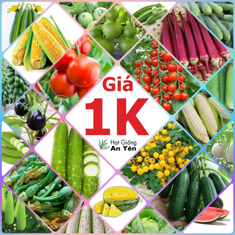 Hạt Giống 1K trồng thử cho các loại Rau Củ Quả.