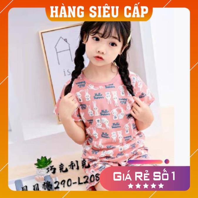 Bộ cotton mùa hè thấm hút mồ hôi họa tiết xuất hàn cao cấp cho bé từ 8 đến 16 kg