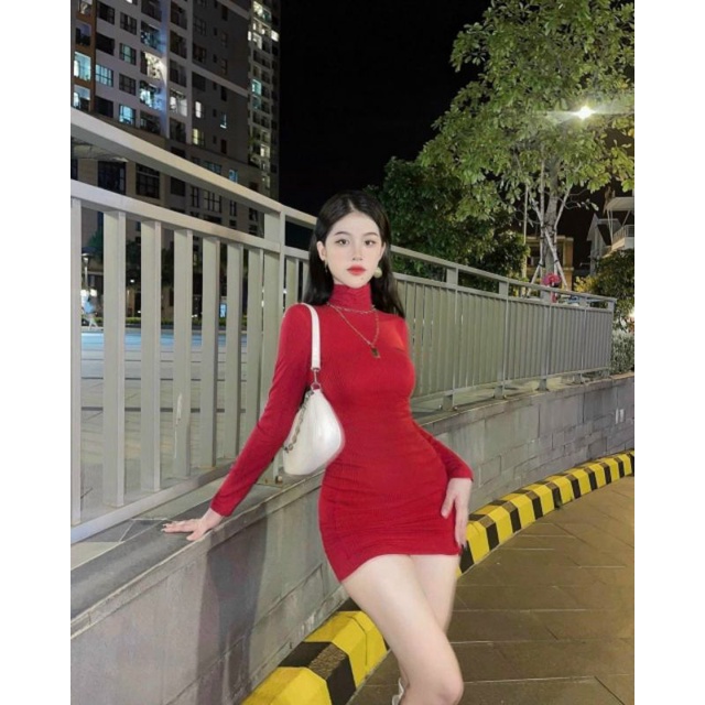ĐẦM BODY CỔ LỌ THUN GÂN TAY DÀI DÁNG NGẮN NHÚN HÔNG