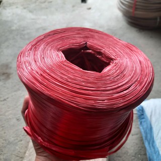 Dây nilon, dây dứa buộc hàng 1 cuộn 750g