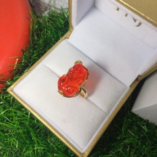 Nhẫn tì hưu xvang