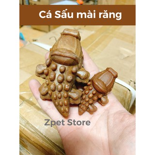 Cá sấu mài răng cho hamster