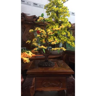 cây hoa Mai ,hoa đào giả có đế