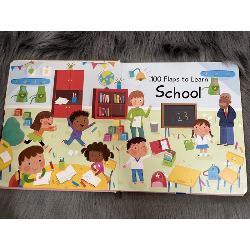 100 FLAPS TO LEARN SCHOOL