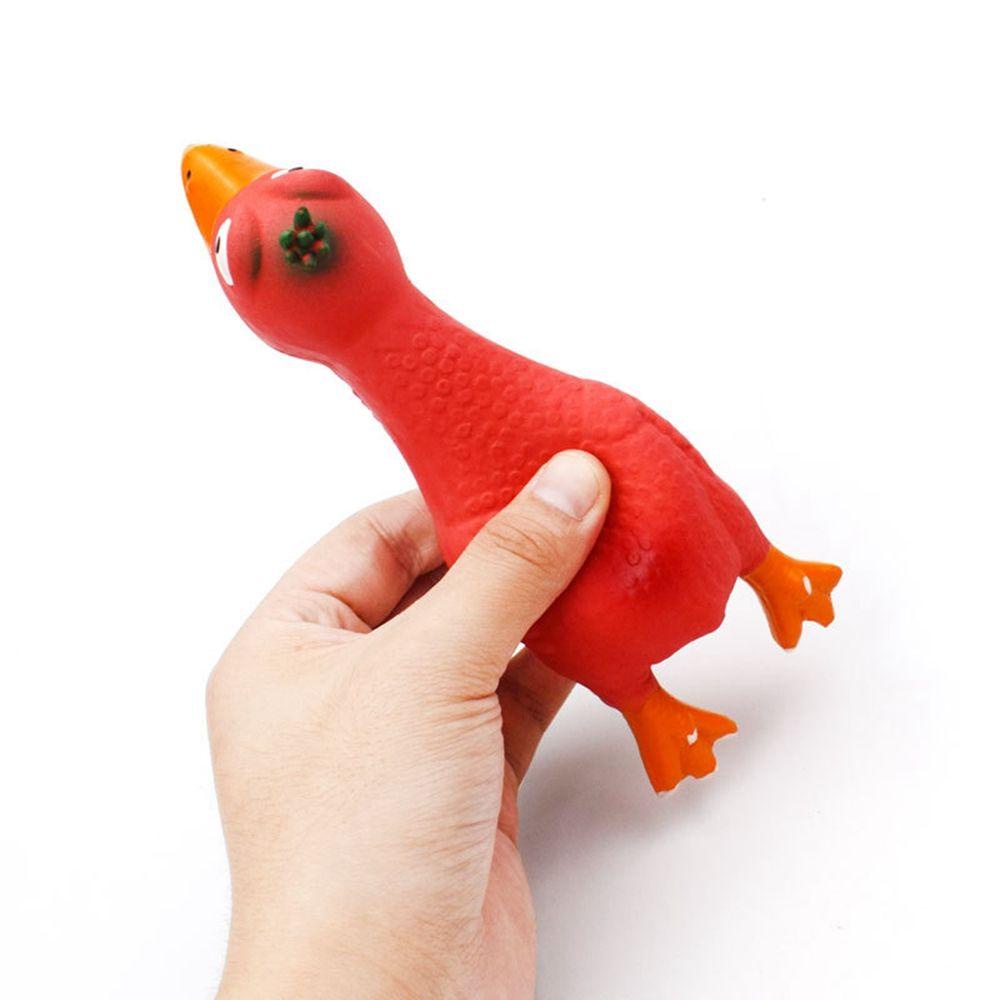 JARRED Đồ Chơi GặM HìNh Con Gà Cho Thú Cưng