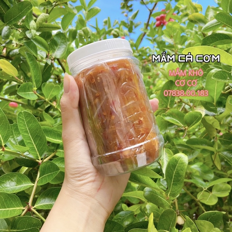 MẮM CÁ CƠM | BigBuy360 - bigbuy360.vn