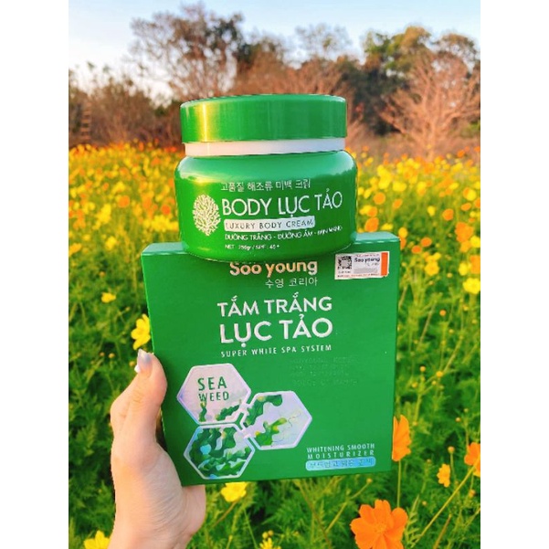 Body Lục Tảo Xịn 250g