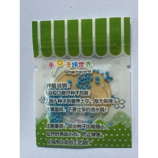 Hạt giống cây cảnh trồng chậu mini