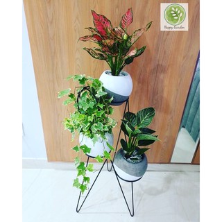 Kệ cây, kệ hoa 3 tầng