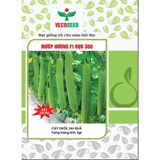 Hạt giống mướp hương - 6,5k/ gói ~ 10 hạt