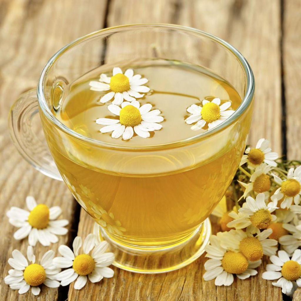 Hạt Giống Trà Hoa Cúc Phú Nông