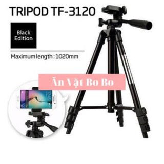 Gậy 3 chân chụp hình máy ảnh, điện thoại Tripod TF - 3120 loại 1 - EXTRA XU