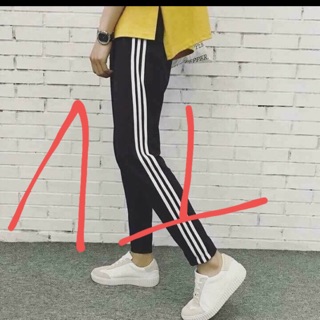 Combo 5sp