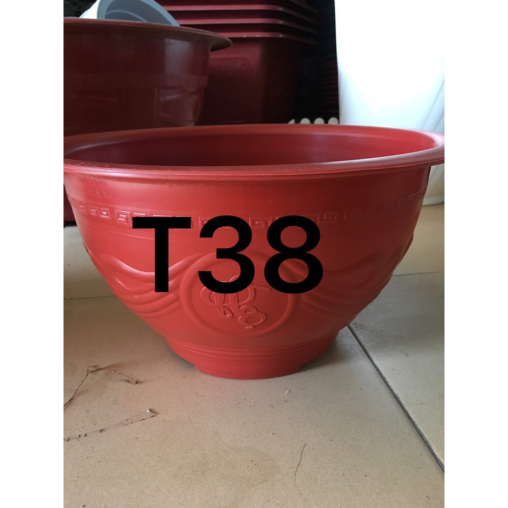 5 chậu nhựa trồng hoa sen hoa súng t38 kt 36x20 cm