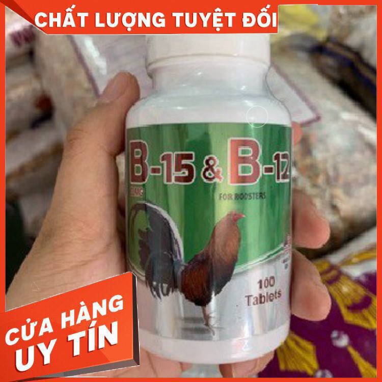 B15 B12 - Thuốc nuôi cho gà chế độ đá