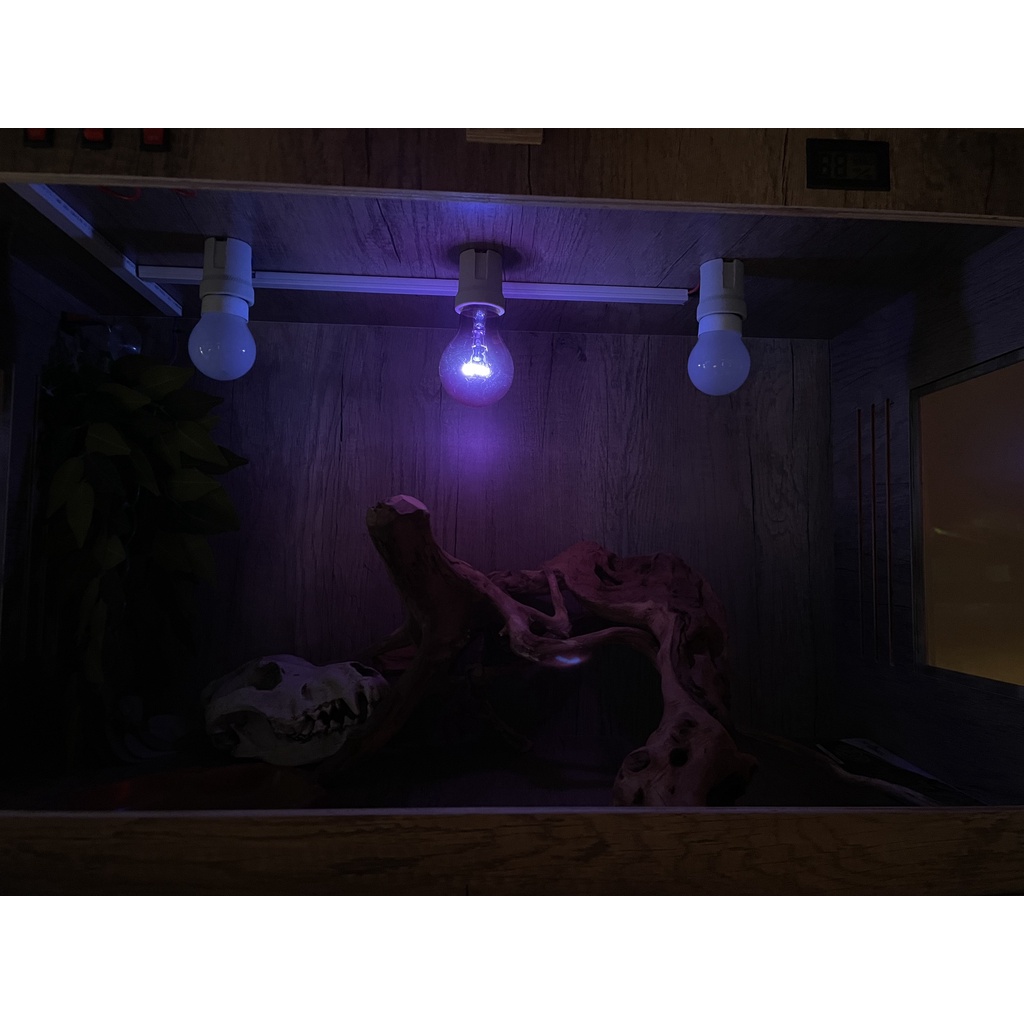 Đèn sưởi đêm nigh light 75w exoterra | Vietpetgarden