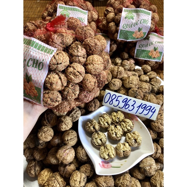 1KG QUẢ ÓC CHÓ NẾP TÂY BẮC