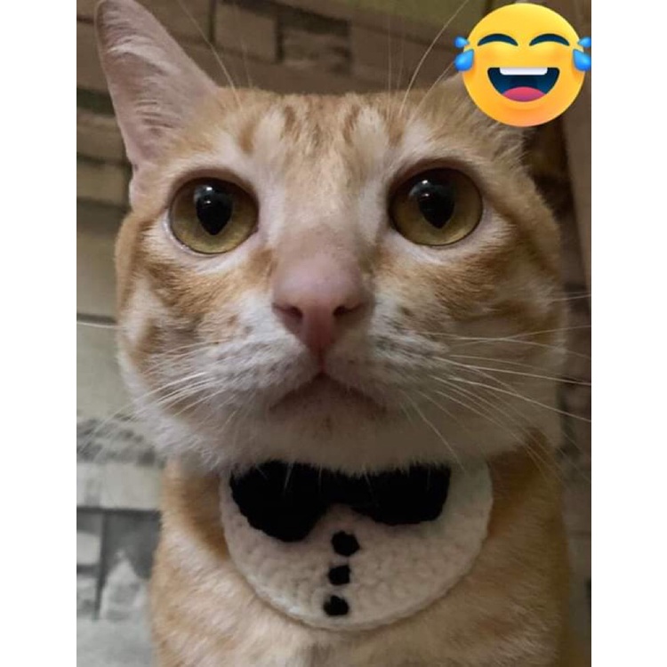 Yếm áo vest cho chó mèo, yếm trắng dễ thương len handmade CHILLMEOW