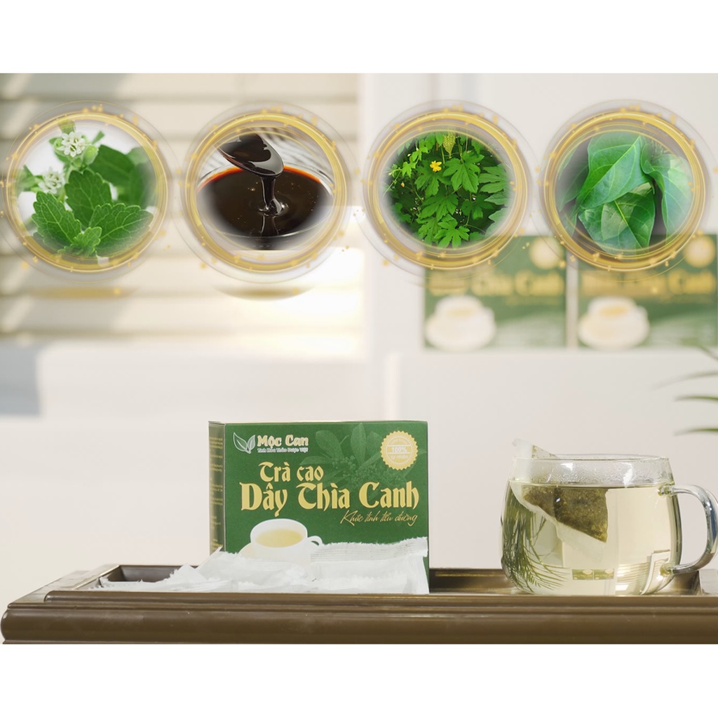 Trà Túi Lọc Cao Dây Thìa Canh Mộc Can Giúp Ổn Định Đường Huyết, Ngưng Biến Chứng Tiểu Đường Hộp 25 túi lọc