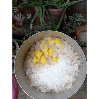 ĐÁT RIM BAO NGON (0.5KG/HỦ)