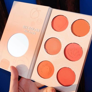Bảng Phấn Má Hồng 6 Ô Kiss Beauty Peach Blusher Six Color Palette - Thái Lan