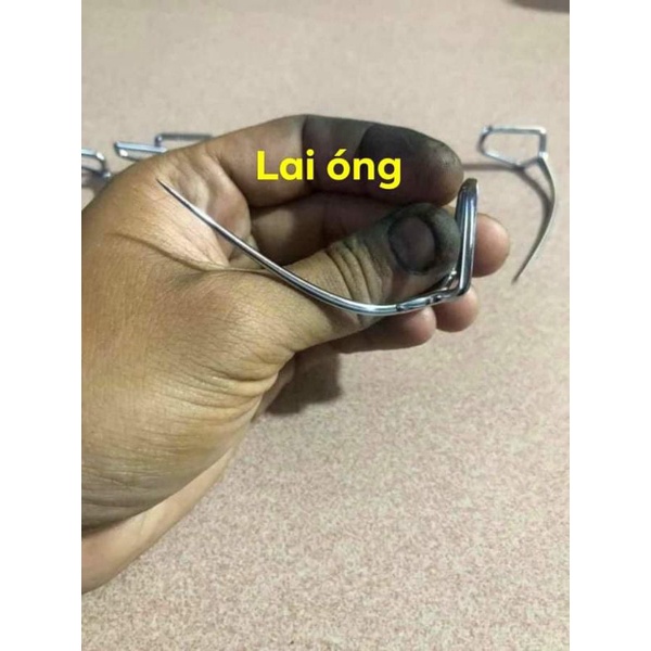 Cựa Gà Nòi Lai Óng - Đủ Size