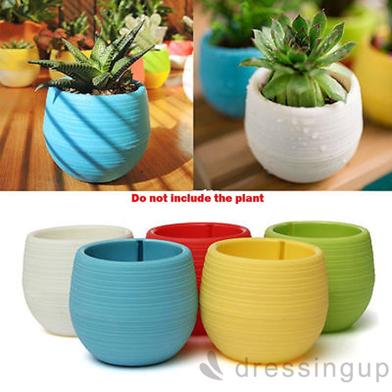Chậu hoa mini bằng nhựa thiết kế nhiều màu sắc tinh tế chất lượng cao