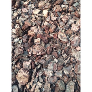 Bán buôn COMBO 2kg giá thể trồng lan vỏ thông bao đẹp