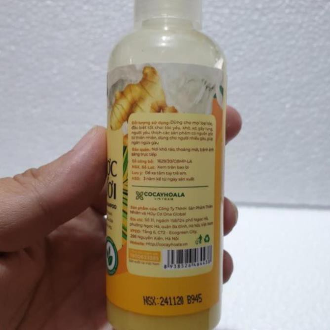 BỘ MINI - COMBO DẦU GỘI XẢ THẢO DƯỢC GỪNG DỪA HỮU CƠ CỎ CÂY HOA LÁ (90gr/chai) | BigBuy360 - bigbuy360.vn
