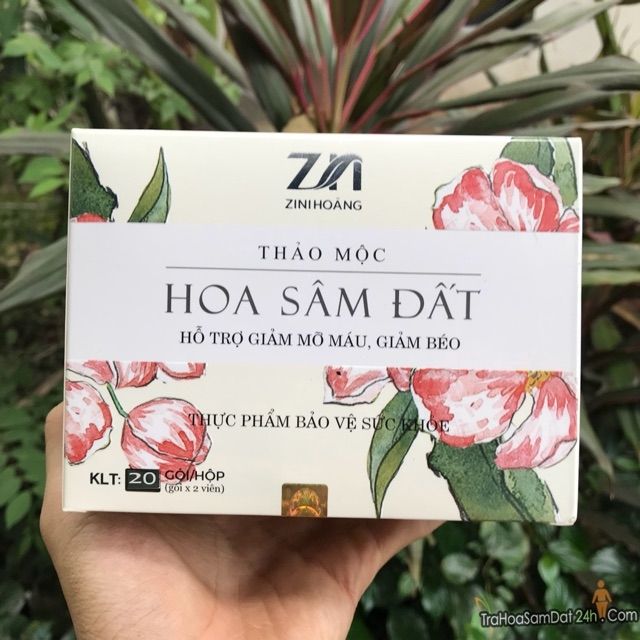 Thảo mộc giam can zn