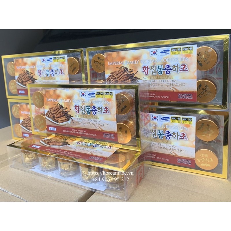Đông Trùng Hạ thảo Hộp Nhựa 10 Viên