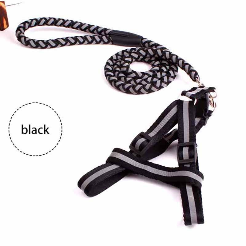 Dây dắt phản quang ban đêm có yếm