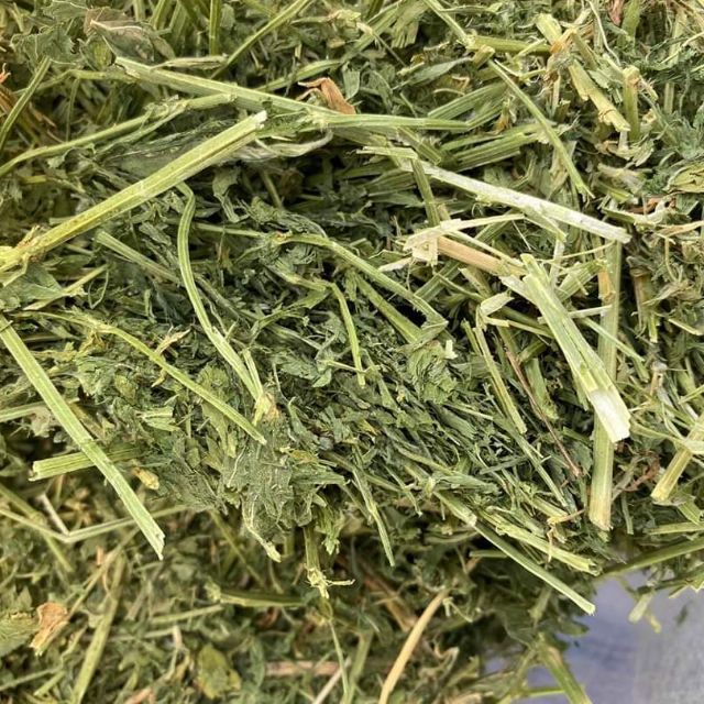 1kg cỏ alfalfa loại ngon cho thỏ- bọ ú -guinea pig