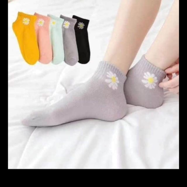Sỉ 10 đôi tất hoa cúc dày
