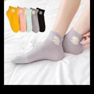 Sỉ 10 đôi tất hoa cúc dày