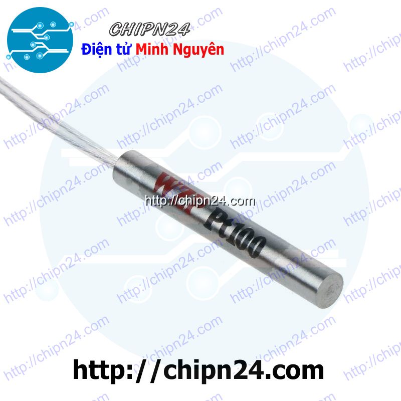 [1 CÁI] (E56) Dây Đo Nhiệt Độ Cảm biến WZP PT100, ống đo kích thước 4*30mm, dây dài 50cm