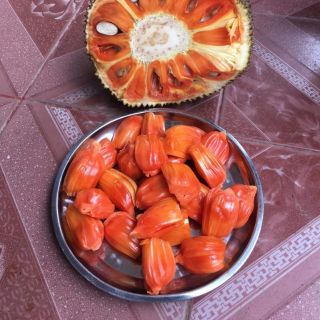 Mít ruột đỏ xơ đỏcây giống